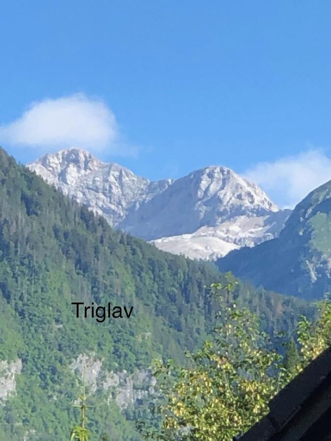 Apartment In The Heart Of Nature Bohinj Εξωτερικό φωτογραφία
