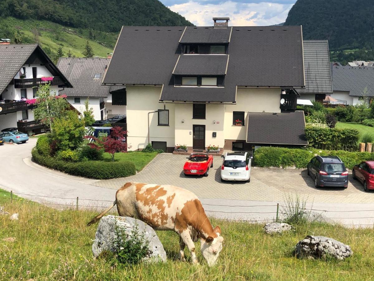 Apartment In The Heart Of Nature Bohinj Εξωτερικό φωτογραφία